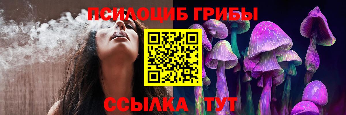 Елец  Псилоцибиновые грибы MAGIC MUSHROOMS  Вход с VPN  Галлюциногенные грибы мицелий 