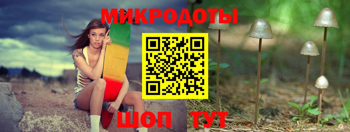 Псилоцибиновые грибы мицелий Елец